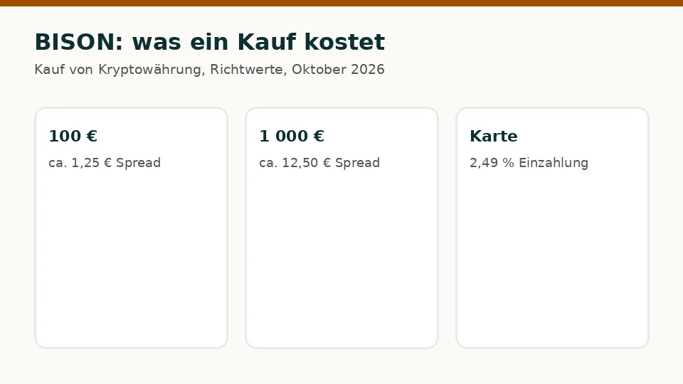 BISON: Kosten für einen Kauf von 100 € und 1 000 €